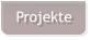 Projekte